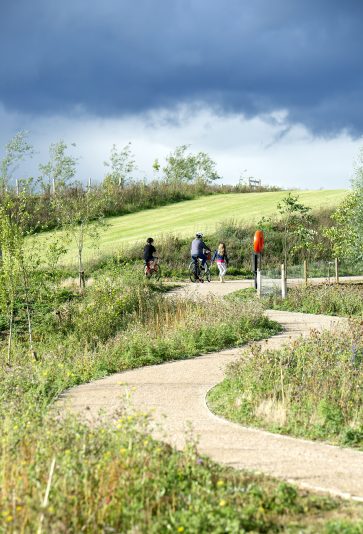 People cycling along a path in the countryside of Eddington